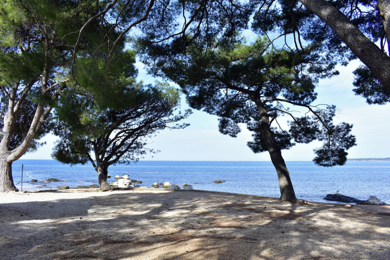 Beach 4, Holiday Home With Garden and BBQ in Umag, Umag