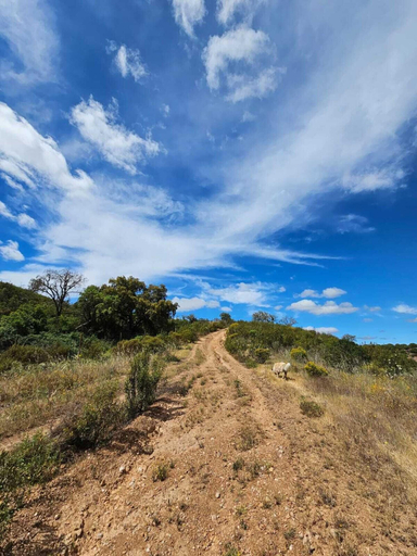 Exterior & Views 2, Herdade do Rio Torto, Portel