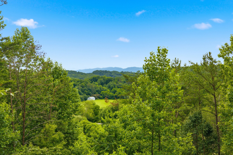 Miscellaneous, Cedar Ridge Cabin 1 Bedroom Cabin, Sevier