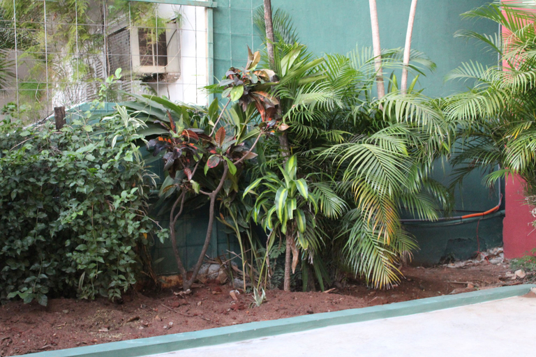 Garden, Apartment 02 Comfortable and Functional Stay in Recoleta, Asunción