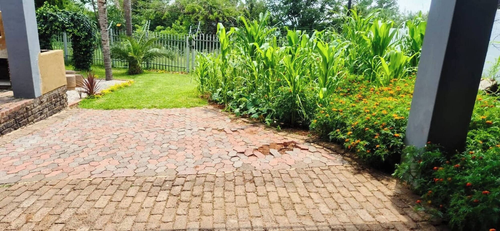 Property grounds 4, The Cozy Three Bedroom Home With Back up Water, City of Johannesburg