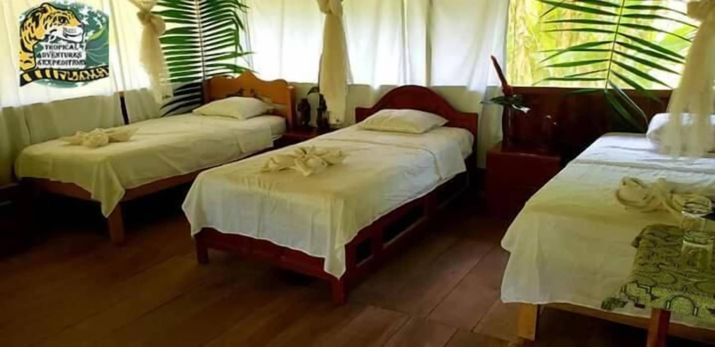 Room 5, Amazon Tropical Expeditions, Maynas