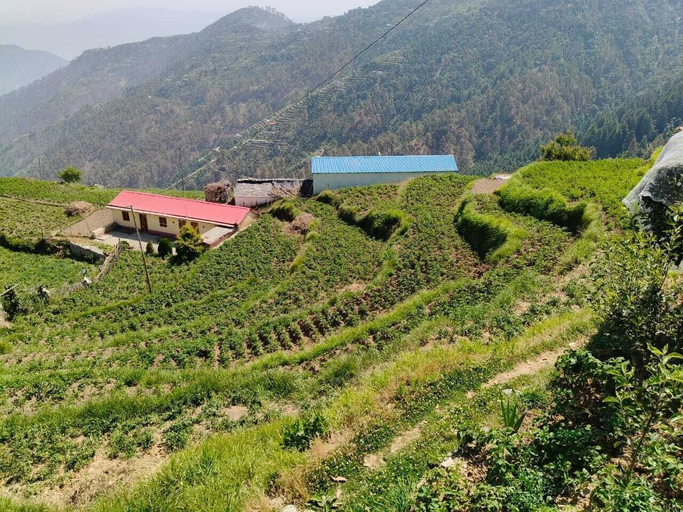 Property grounds, Hilans Basera 2Km forest walk from road, Tehri Garhwal