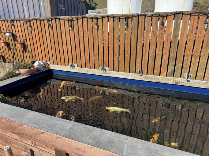 Pool 5, The Cozy Caravan Vestmannaeyjar, Vestmannaeyjar