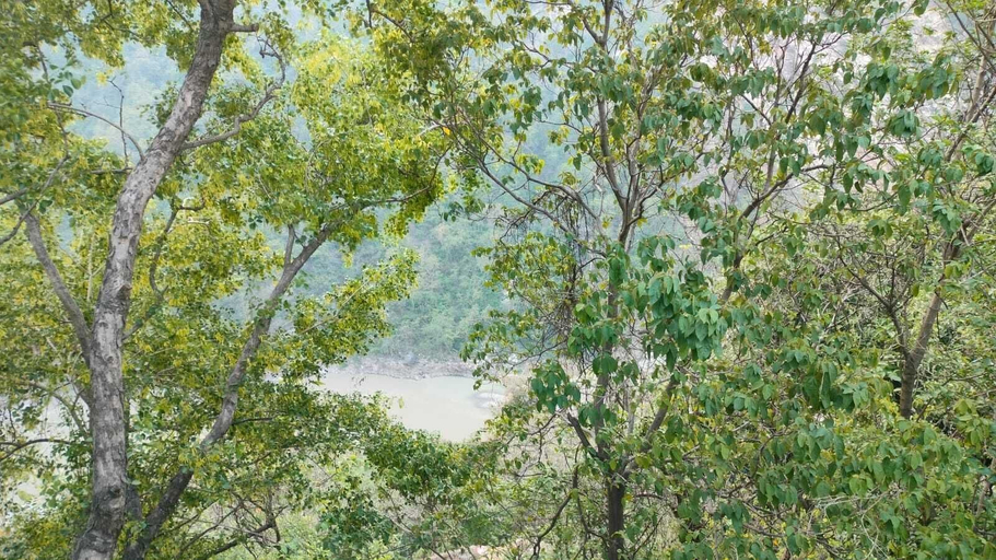 Miscellaneous, Sheetal Resort and Restaurant, Garhwal