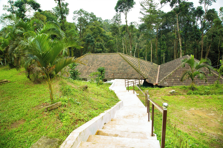 Others 4, Room-the Nest Bettathur Coorg Ct No 1, Kodagu