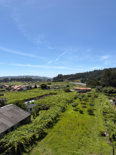 Others 5, Casa Rodino, Pontevedra
