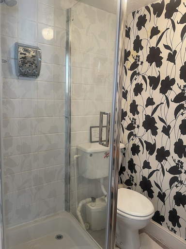 Bathroom 4, Ty Newydd B&B, Conwy