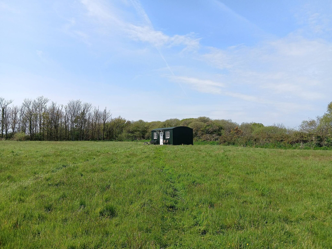 Exterior 4, Dinky's Den, a Beautiful Tiny Home, Cornwall
