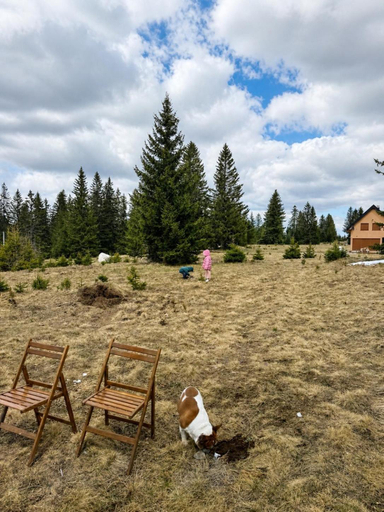 Others 3, Chalet Aleksa
