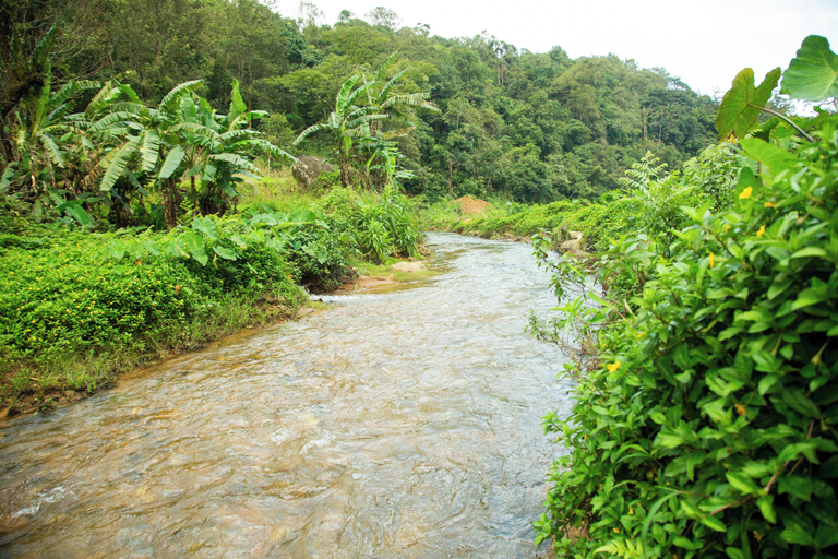Others 5, Room-the Nest Bettathur Coorg Ct No 1, Kodagu