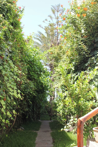 Garden, La Grande Propriété Étoile De Mer, Skhirate-Témara