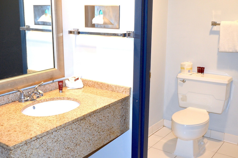 Bathroom 3, Americas Best Value Inn and Suites St. Cloud, Benton