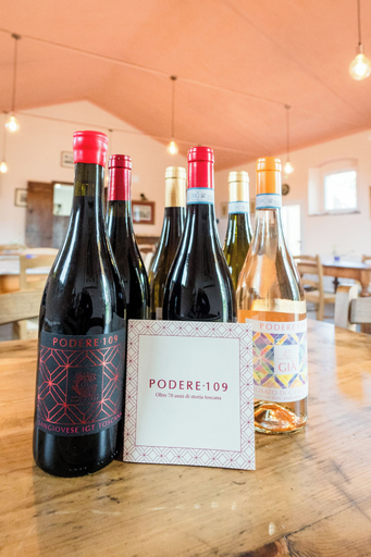 Food & Drinks 5, Villa Podere 109 - BioWine, Grosseto