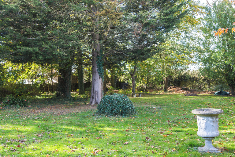 Garden 3, Spacious Private Annex Near Ashford, Kent