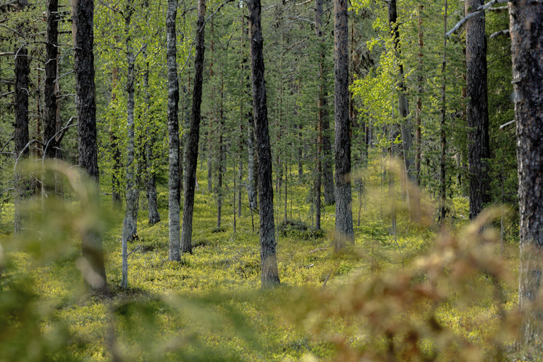 Land view from property