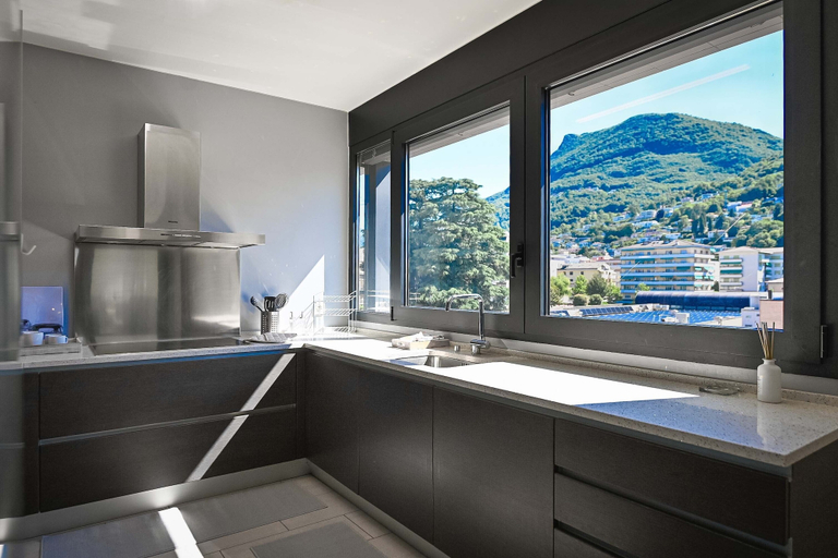 Private kitchen 4, Central Plaza Apartment 3 in Lugano, Lugano