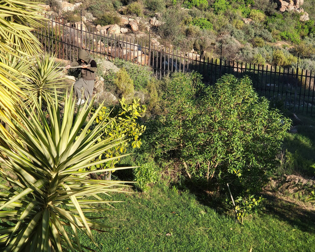 Garden 3, Unpretentious peaceful Cottage, West Coast