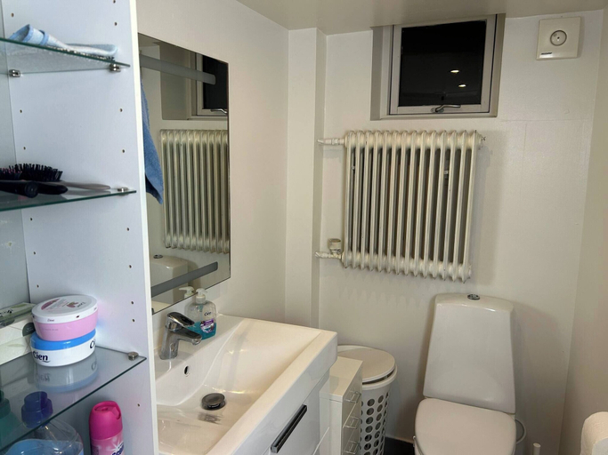 Bathroom 4, Basement Apartment in Villa, Odense