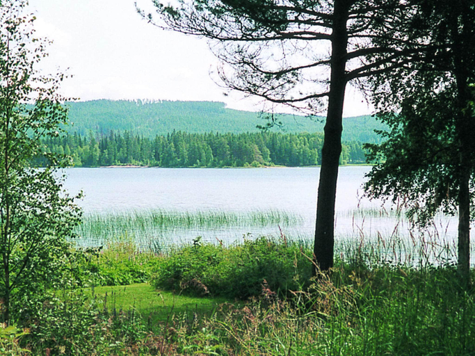 Others 5, 6 person holiday home in Torsby, Torsby