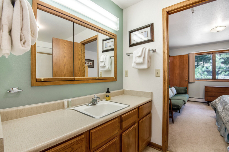 Bathroom 4, Dog-friendly, Mountain-view Home With Deck & Grill, Larimer