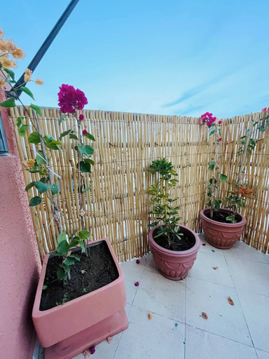 Balcony 2, Beautiful Studio in the Heart of Casablanca, Casablanca