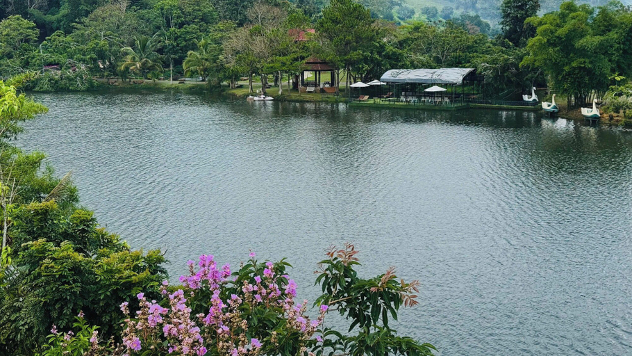 Miscellaneous 5, TAM CHAU FARM, Bảo Lâm