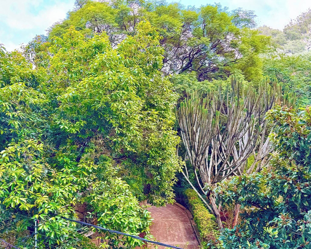 Property grounds, Tranquil 2-bedroom Apartment With Nature and City Views, Dagoretti North