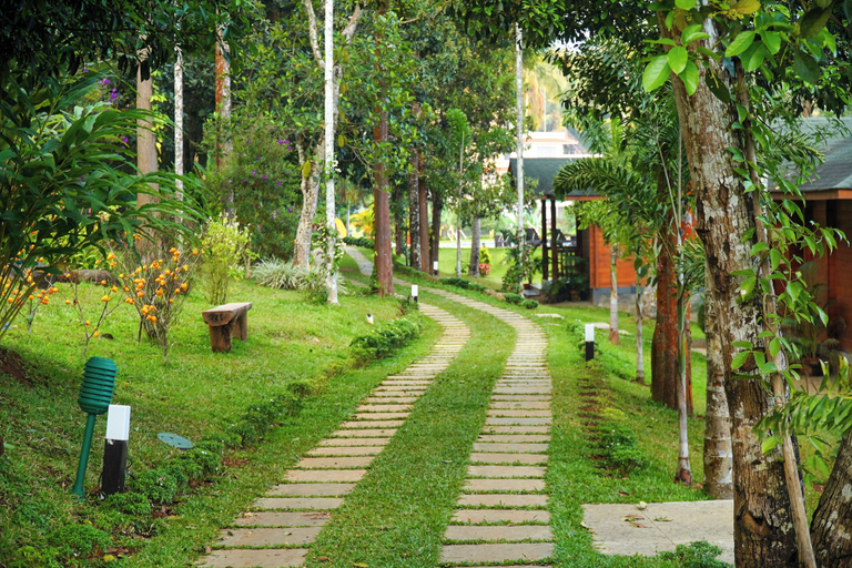 Others 2, Room-lakerose Wayanad Resort - Superior, Wayanad
