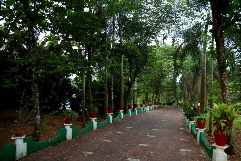 Others 4, Wayanad Cave N Pillar Resort, Wayanad