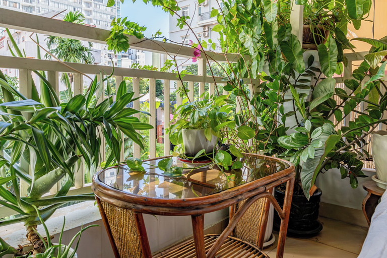 Property grounds 3, Cozy 1990s Khmer Style Flat in Heart of Tonle Bassac, Phnom Penh