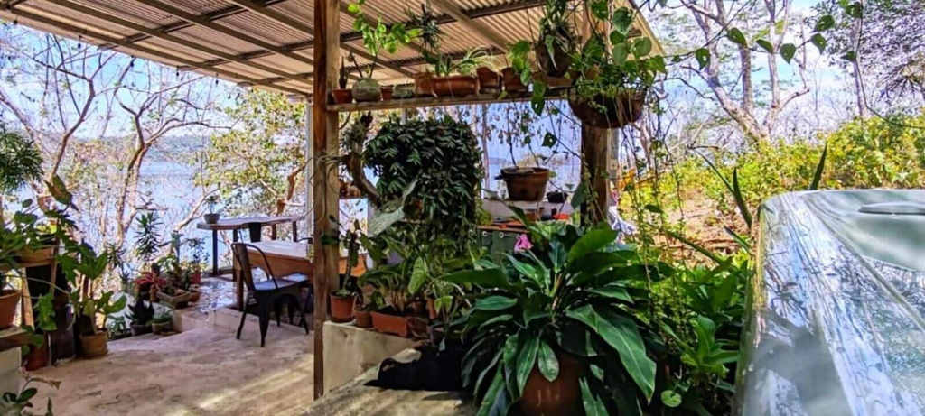 Garden 2, Teak House in a Forest Above the Beach, Puntarenas