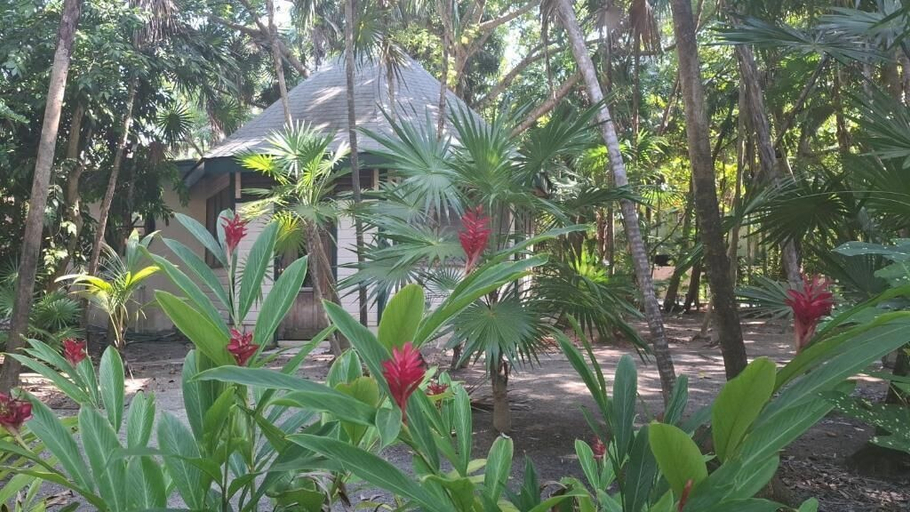 Property grounds, Jungle Cocoon