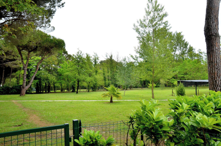 Others 4, Comfortable Villa for 6 Guests - Beahost Rentals, Venezia