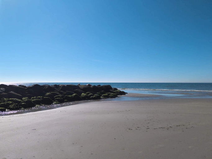 Others 5, 6 person holiday home in Blåvand, Varde