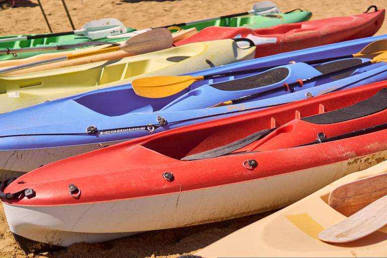Miscellaneous 4, Live the Color in Bibione's Heart, Venezia