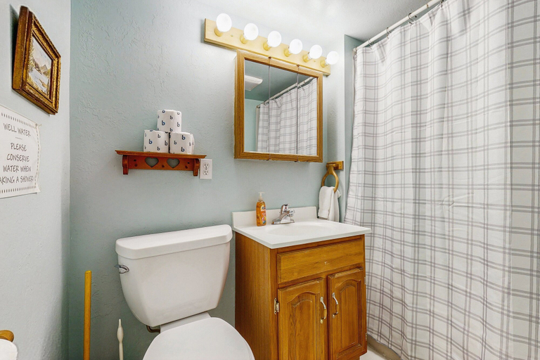 Bathroom 2, Cozy Cabin on 4 Acres With Kitchen & Furnished Deck, Lake Views, Larimer