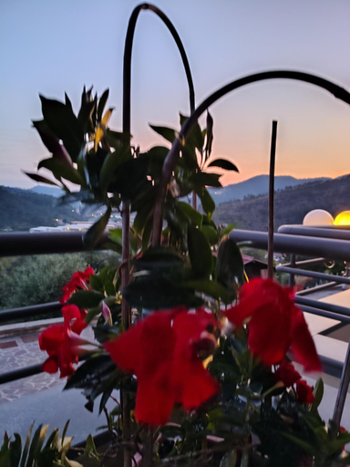 Sport & Beauty, "Vento di Levante Suite" benvenuti in collina, Genova
