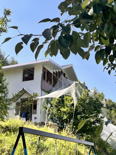 5, ORCHARD VALLEY RESORT, Shimla