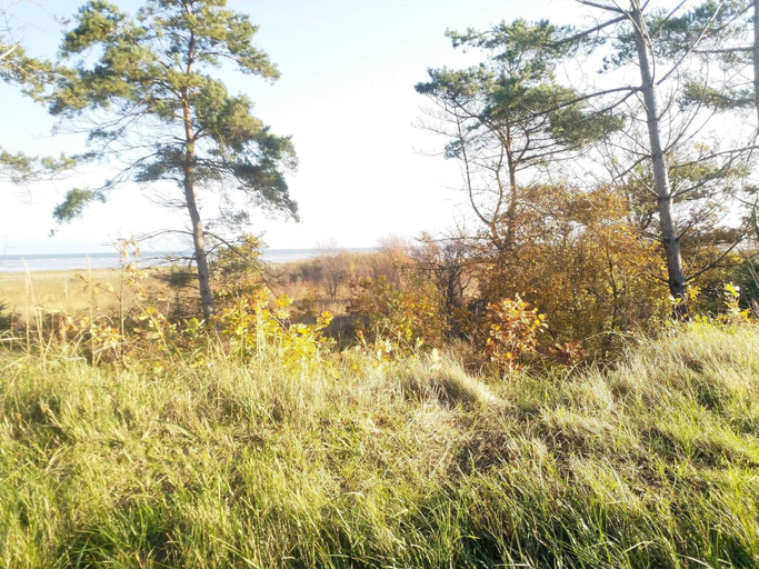 Others 5, 6 person holiday home in Hadsund, Mariagerfjord