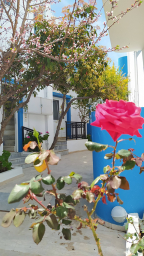 Exterior & Views 2, Sea View And Mountain View Apartment For 4 People., Crete