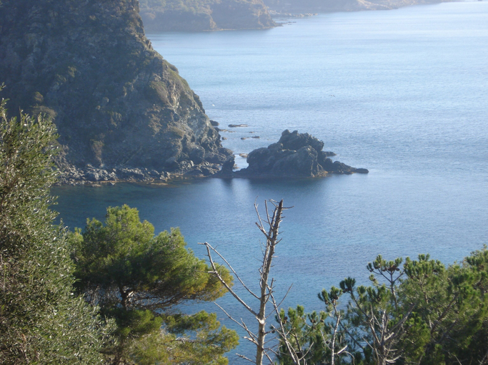 Others 4, Apartment in Villa 2 to 4 Persons With Large Garden "stella", Livorno