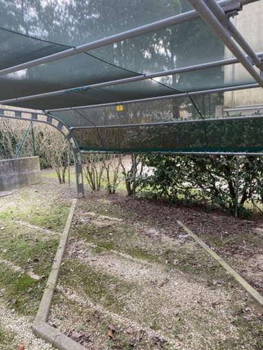 Garden 3, Equipped and Stylish Flat in Bibione, Venezia