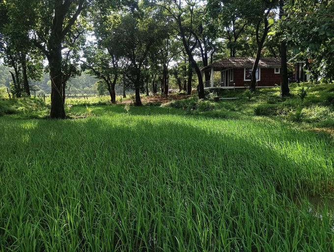 Property grounds 3, Room-cottage In Farm House Dandeli, Uttara Kannada