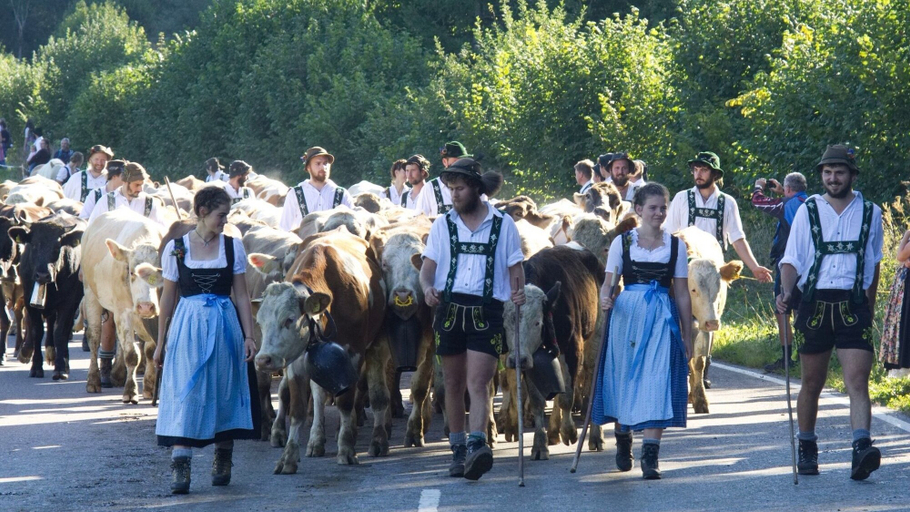 Miscellaneous, Fewo "schneerose", Oberstaufen-steibis, Oberallgäu