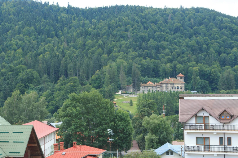 Exterior 4, Mountain Valley View, Busteni