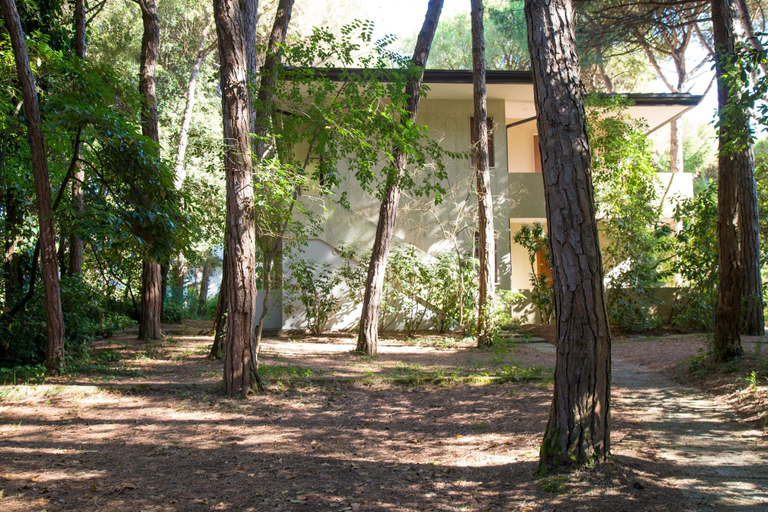 Garden, Terrace Home by the Pinewood, Venezia