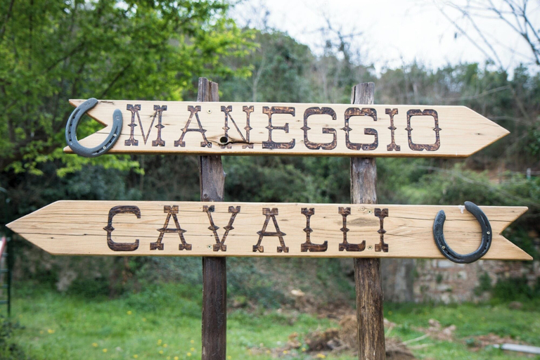 Others 5, Tuscan Rustic Apartment, Grosseto