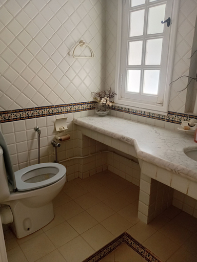 Bathroom 5, Charming 600sqm Villa With a Large Garden & Pool, Soukra