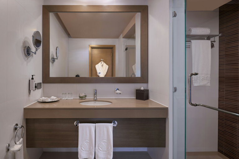 Bathroom 3, Park Arjaan by Rotana, Abu Dhabi City